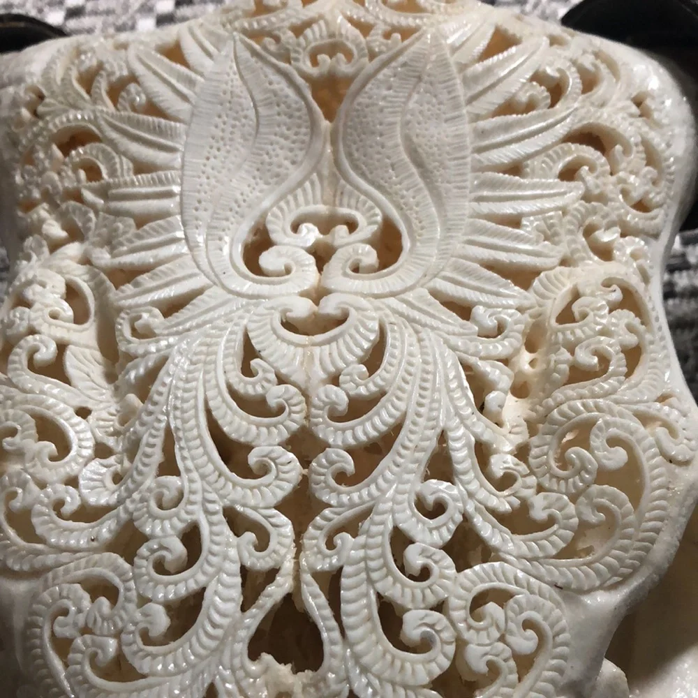 Carved cows skull - Picture 3 of 4